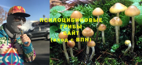 герыч Бородино