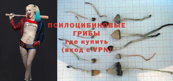 ГАЛЛЮЦИНОГЕННЫЕ ГРИБЫ Верхний Тагил